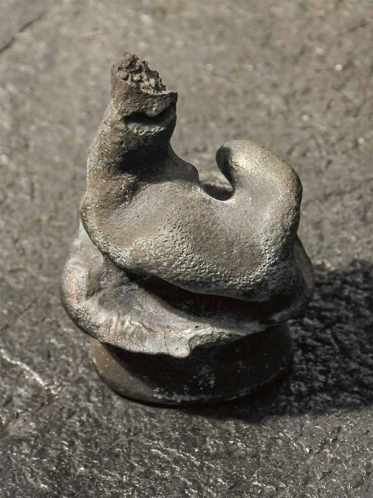 Programm Staatliche Kunsthalle BadenBaden